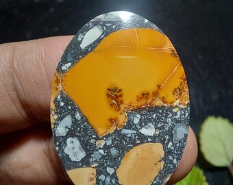 Maligano Picture Jasper Cabochon 22x32x4 mm: Scenic Cherry Creek Image Stone
