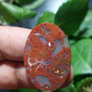 May include: An oval gemstone displaying a complex pattern of red, white, green, and grey tones. The polished surface reveals intricate veining and colour variations, creating a unique design. The gemstone is set against a backdrop of green leaves.