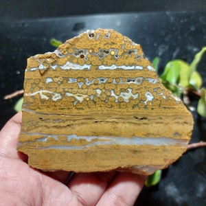 Ocean Jasper Slab: Raw Crystal Slice for Lapidary, Indonesia (72x93x12mm)