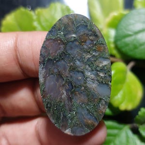 May include: An oval gemstone featuring a mosaic pattern of dark blue, brown, and green. The polished surface has a natural, organic texture, with green resembling moss. The gemstone is held in a hand, with green foliage in the background.