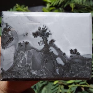 Maligano Bilder Jaspis Cabochon: Malerischer Stein (34x46x4.7 mm)
