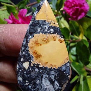 Maligano Bilder Jaspis Cabochon: Malerische Cherry Creek Bildstein