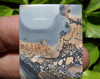 Rock tree- Maligano Picture jasper cabochon  24x29x5 mm , Scenic Cherry Creek , image stone