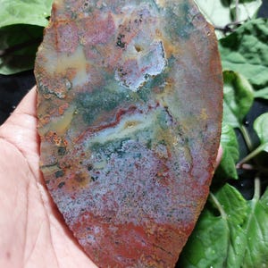 May include: A flat, polished slab of moss agate featuring a complex, organic pattern of earthy tones including deep forest green, rusty orange, ochre yellow, and translucent white. The stone has an irregular, leaf-like shape with visible mineral inclusions.