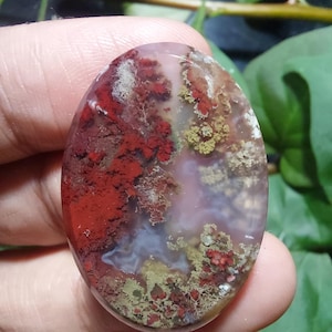 Peut inclure: Pierre précieuse ovale avec un motif unique d'inclusions rouges, vertes et blanches. La surface polie révèle un motif semblable à un paysage, avec des zones rouge foncé et des sections plus claires et translucides. La pierre est tenue dans une main, avec un feuillage vert en arrière-plan.