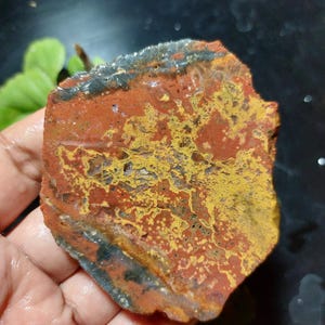 May include: A polished, irregularly shaped stone with a mix of colours. The stone features a base of deep red and brown, with patches of yellow and black. The surface has a textured appearance, with small, light-coloured spots.