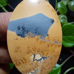 Maligano Bilder Jaspis Cabochon: Malerischer Cherry Creek Cabochon (26x38x6 mm)