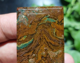 Picture jasper cabochon 26x33x6 mm