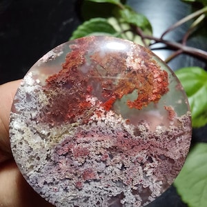 Op de afbeelding: Een ronde, gepolijste agaat met een uniek, dendritisch patroon. De steen is doorschijnend en heeft een mix van witte, grijze, rode en bruine kleuren.