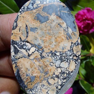May include: A close-up of a polished oval-shaped stone with a unique pattern of black, white, and brown. The stone has a speckled appearance with a variety of shapes and sizes.
