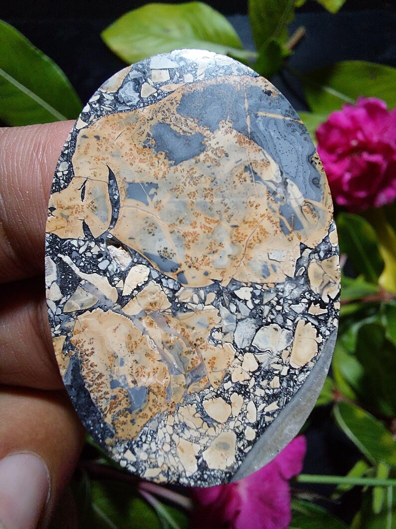 May include: A close-up of a polished oval-shaped stone with a unique pattern of black, white, and brown. The stone has a speckled appearance with a variety of shapes and sizes.