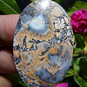 May include: A polished oval cabochon of gray, white, and brown agate with a unique pattern of swirling lines and speckles.
