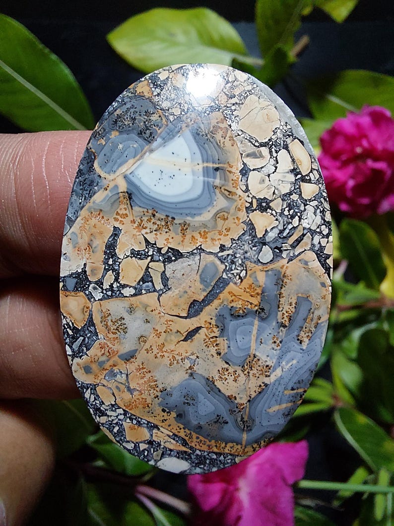 May include: A polished oval cabochon of gray, white, and brown agate with a unique pattern of swirling lines and speckles.