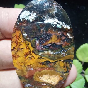 May include: An oval-shaped gemstone with a unique pattern of colors. The stone features a blend of yellow, brown, black, and white hues, creating a landscape-like appearance. The polished surface reflects light, highlighting the natural variations.
