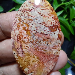 Petrified Wood Cabochon Pendant Necklace 28x47x6 mm: Java Island Nature Jewelry