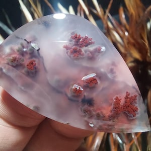 Könnte beinhalten: Ein durchscheinender, hellrosa Achat-Cabochon mit roten dendritischen Einschlüssen. Der Achat hat eine glatte, polierte Oberfläche und ist ein Naturstein.