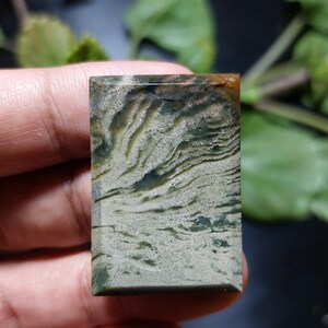 Halsband med förstenat trä-cabochonhänge: Natursmycken från Javaön