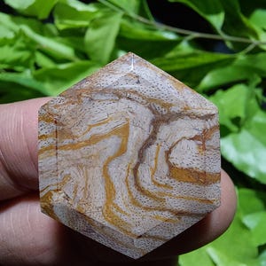 May include: A hexagonal-shaped piece of polished stone featuring a complex pattern of swirling tan, beige, and dark brown lines. The surface displays a detailed, porous texture throughout, with distinct organic-looking veins and color variations.