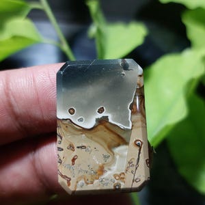 May include: A rectangular gemstone with a polished surface. The top is dark grey, fading to light grey and brown patterns. The base is beige with brown and white spots. The stone is approximately 4 cm long.