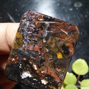 以下が含まれることがあります： 研磨された表面を持つ長方形の宝石。石は、黒、茶色、赤、黄色、白を含む複雑な色のパターンを特徴としています。宝石は手で持たれており、背景は暗いです。