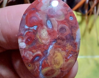 Petrified Palm wood cabochon size 18x25x5 mm