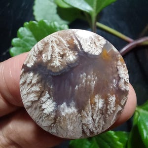 Java plume agate cabochon size 25x25x6,6 mm,wingate  cabochon wire wrapping , jewelry making , agate silver pendant
