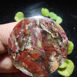 Può includere: Una pietra rotonda e lucida con un motivo naturale di tonalità rosse, bianche e marroni. La superficie della pietra ha un aspetto marmorizzato, con venature intricate e variazioni di colore. La pietra è tenuta in mano, con foglie verdi sullo sfondo.
