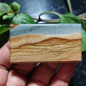 Landschaft Polychrome Jaspis Cabochon - 33x62x6mm Natürliche Bild Jaspis Stein, Malerische Cherry Creek Jaspis Anhänger Cabochon