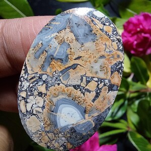 May include: A polished oval cabochon of a light brown, gray, and black stone with a white center. The stone has a unique pattern of swirls and speckles.