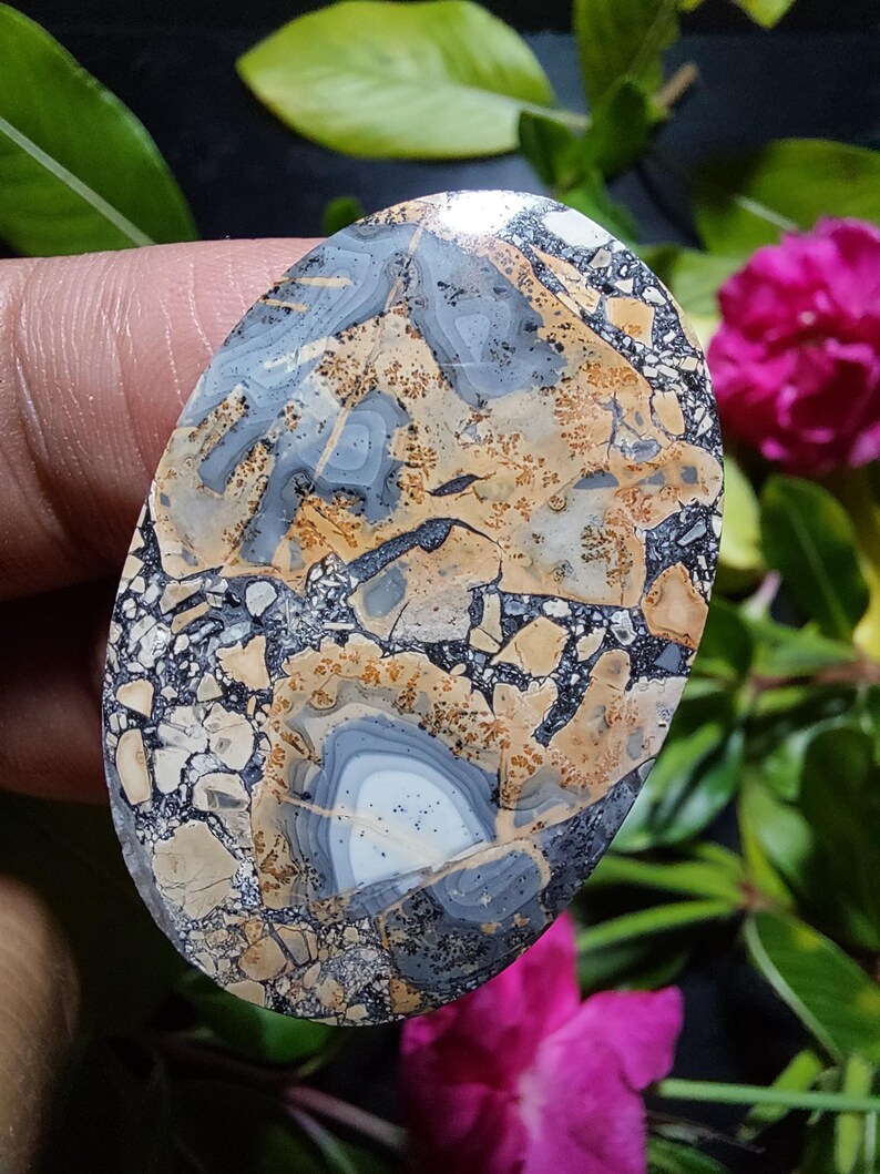 May include: A polished oval cabochon of a light brown, gray, and black stone with a white center. The stone has a unique pattern of swirls and speckles.