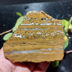 Ocean Jasper Slab: Rough Sea Jasper Stone for Lapidary (75x87x17 mm)