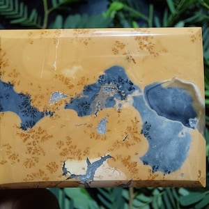 Maligano Landschafts-Jaspis Cabochon: Landschaftsjaspis (33x44x5 mm)