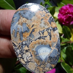 May include: A polished oval cabochon of brown, gray, and white jasper with a swirling pattern. The stone has a high gloss finish and is set against a green and pink floral background.