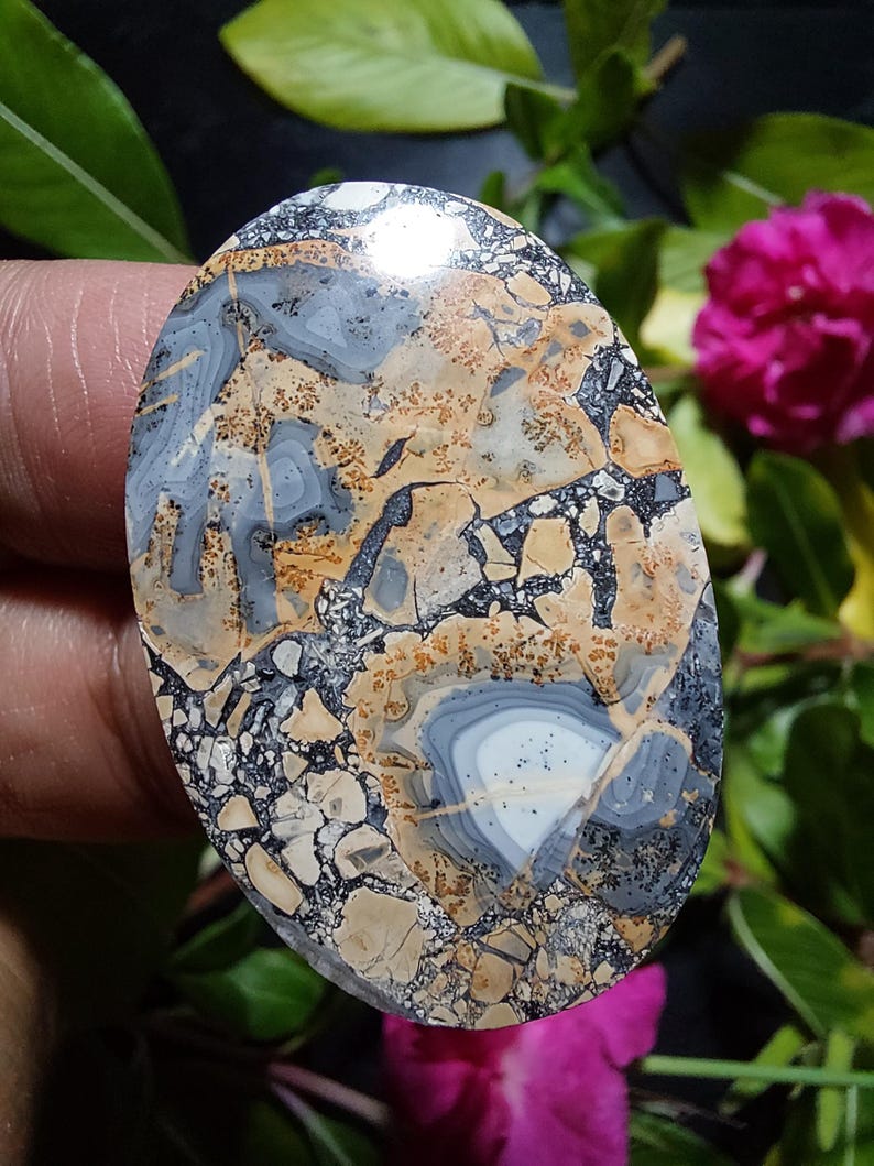 May include: A polished oval cabochon of brown, gray, and white jasper with a swirling pattern. The stone has a high gloss finish and is set against a green and pink floral background.