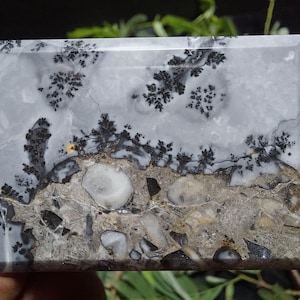 Felsenbaum- Maligano Bilder Jaspis Cabochon Größe 32x46x5,8 mm; Cabochon Maligano Jaspis Stein; Landschaftsbild
