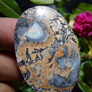 May include: A polished oval-shaped stone with a unique pattern of black, white, gray, and orange. The stone has a mottled appearance with a central swirl of gray and white.