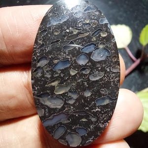 Amigdaloidal Agate Cabochon 21x35x6 mm: Volcanic Basalt Jewelry Stone