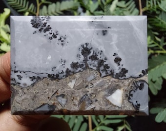 Rock tree- Maligano Picture jasper cabochon size 32x44x5,5 mm , Scenic Cherry Creek , image stone