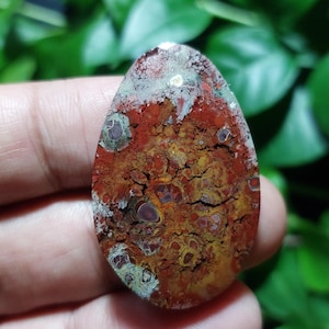 May include: Oval-shaped gemstone with a mix of red, brown, yellow, and white colors. The stone has a unique pattern with a textured surface. The gemstone is held in a hand, with a blurred green background.