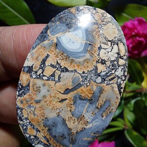 May include: A polished oval cabochon of gray, white, and brown jasper with a swirling pattern. The stone has a speckled appearance with small black and brown inclusions.