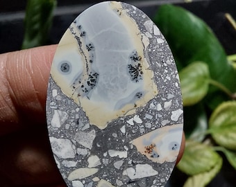 Picture stone cabochon: Scenic Cherry Creek Stone (23x38x5 mm)