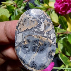 Maligano Bilder Jaspis Cabochon: Malerische Cherry Creek Bildstein