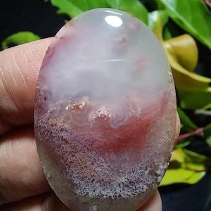 May include: A white and pink agate cabochon with a layered pattern. The agate has a translucent white top layer with a pink and brown layer underneath. The agate is oval shaped and has a smooth, polished surface.