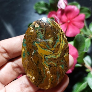 Bilder Jaspis Cabochon Größe 41x61x8 mm, Malerische Landschaft Cherry Creek, Bild Stein, Auslage Exemplar