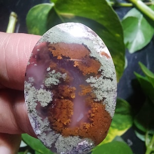 May include: A polished oval-shaped agate stone with a pink, white, and purple base. The stone has a unique pattern of brown and grey dendrites.