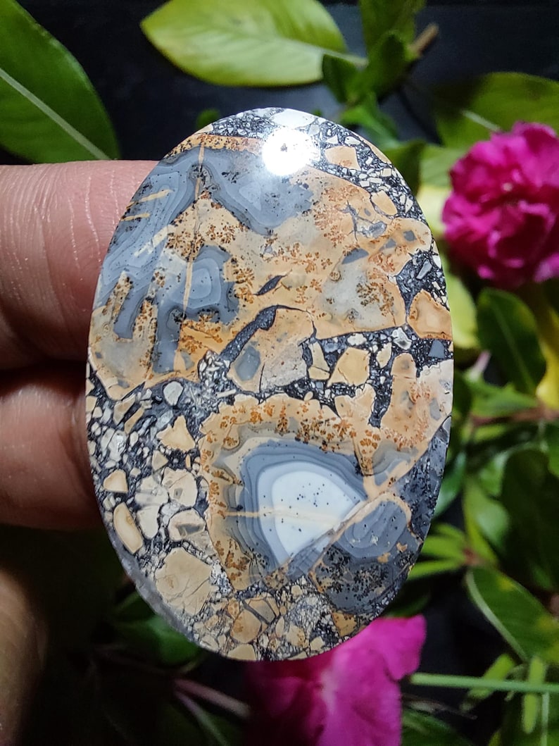 May include: A polished oval cabochon of colorful agate with a swirling pattern of brown, gray, and white. The stone has a speckled texture and a high gloss finish.