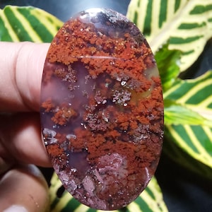 May include: A close-up of a red, brown, and white agate cabochon with a unique, swirling pattern. The cabochon is oval-shaped and has a smooth, polished surface.