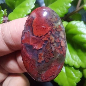 May include: A red, brown, and white agate cabochon with a smooth, polished surface. The stone has a unique, swirling pattern.