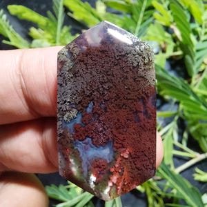 May include: A polished, hexagonal gemstone with a rich, earthy color palette. The stone features a blend of deep burgundy, brown, and mossy green hues, with streaks of white and blue. The crystal is held against a backdrop of green foliage.
