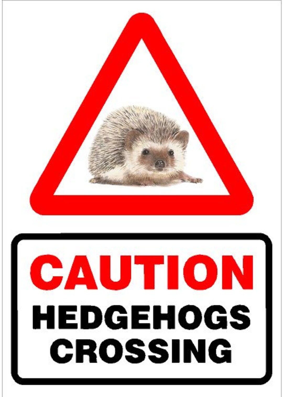 CAUTION HEDGEHOGS CROSSING Sign A4 - Etsy